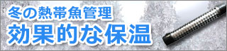 冬の熱帯魚管理　効果的な保温