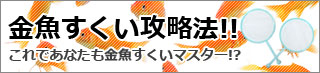 金魚すくい攻略法