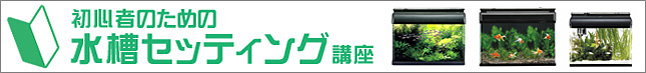 初心者の為の水槽セッティング講座