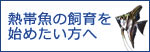 熱帯魚の飼育を始めたい方へ