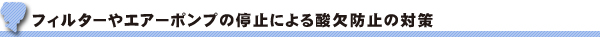 フィルターやエアーポンプの停止による酸欠防止の対策