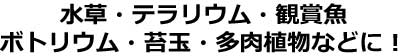 水草・テラリウム・観賞魚・ボトリウム・苔玉・多肉植物などに！