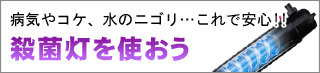 病気やコケ、にごりに水槽用殺菌灯